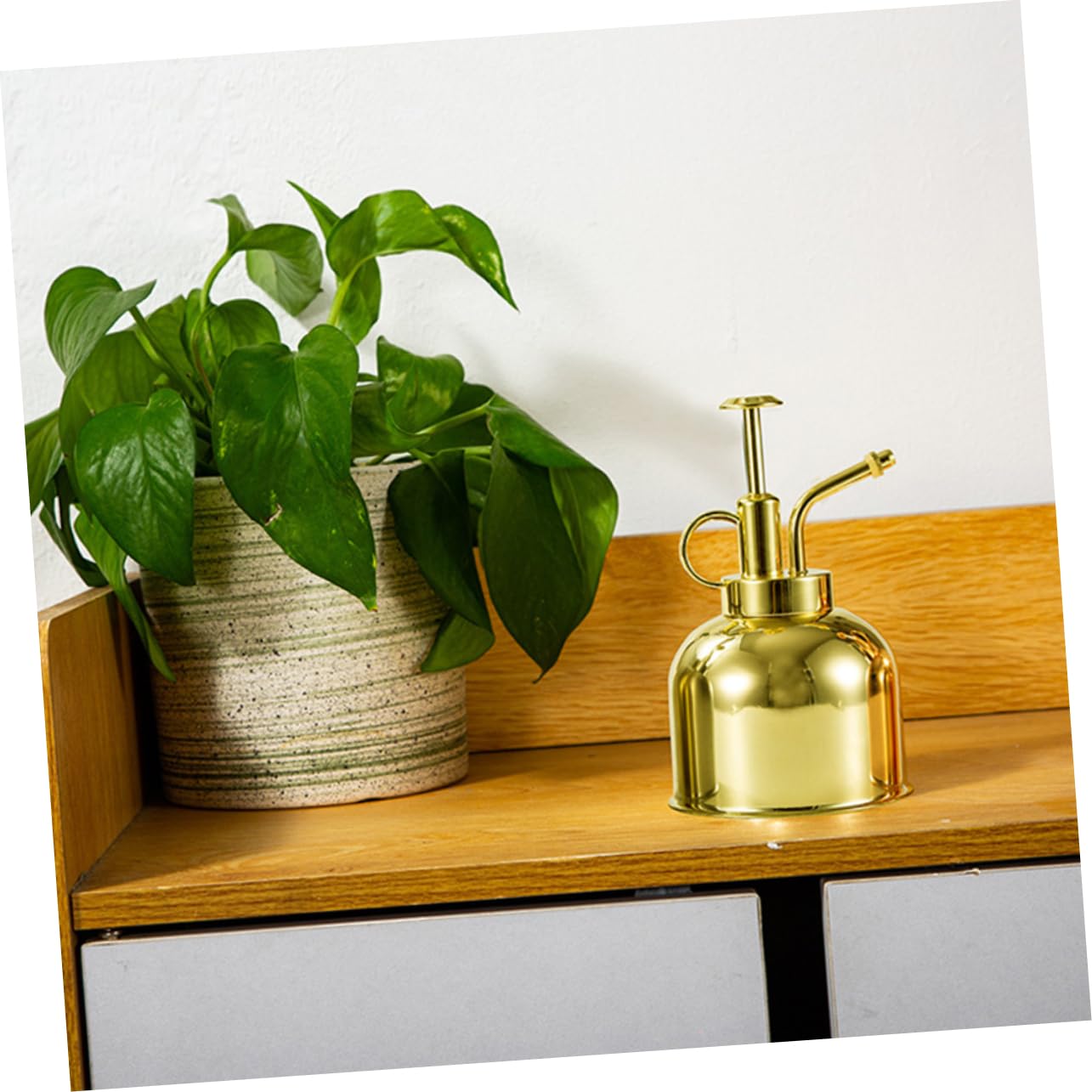 Regadera Vintage de 300ml con Bomba, Acero Inoxidable Dorado | Riego Preciso para Flores y Suculentas, Boquilla Pequeña, Uso en Cocina y Jardinería, 1 Pieza