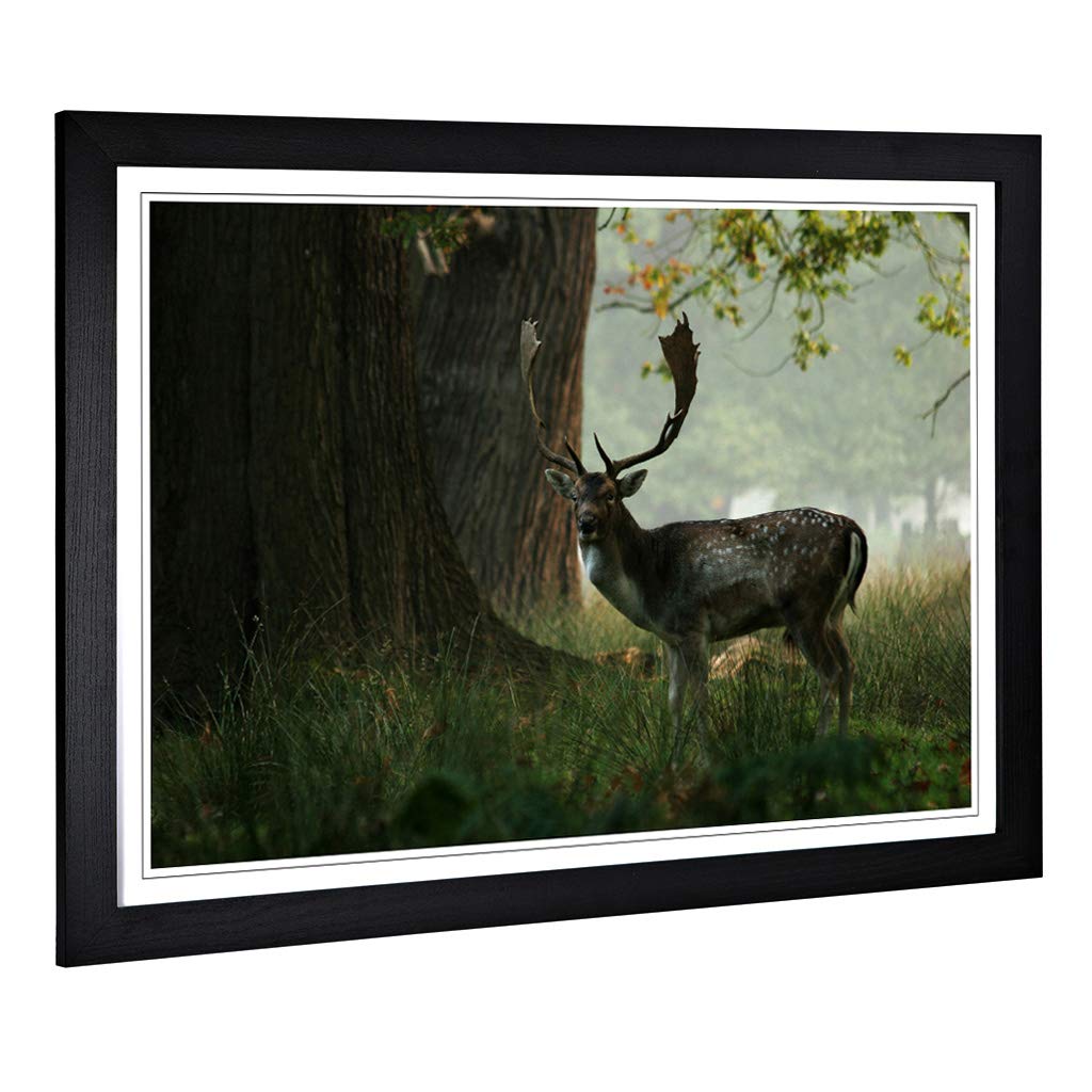 Big Box Art Framed Print of Stag in Woodland Landscape Design | Wall Art Picture | Home Decor for Kitchen, Living, Dining Room, Bedroom, Hallway, Office, Black, A2 / 24.5x18 Inch / 62x45cm