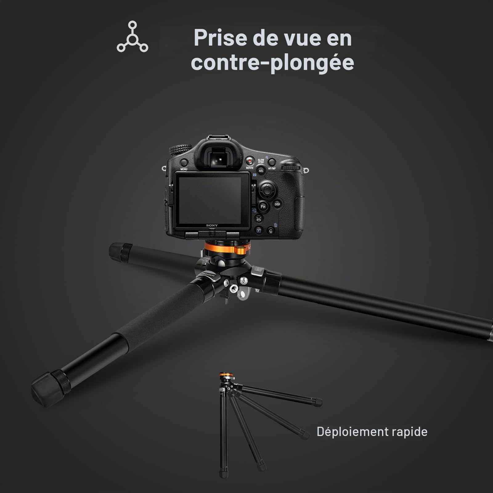 TARION Trépied de Voyage Compact pour Appareil Photo : Trépied Portable et Léger pour la Randonnée, Tête Sphérique, Système de Libération Rapide, Aluminium Qobra