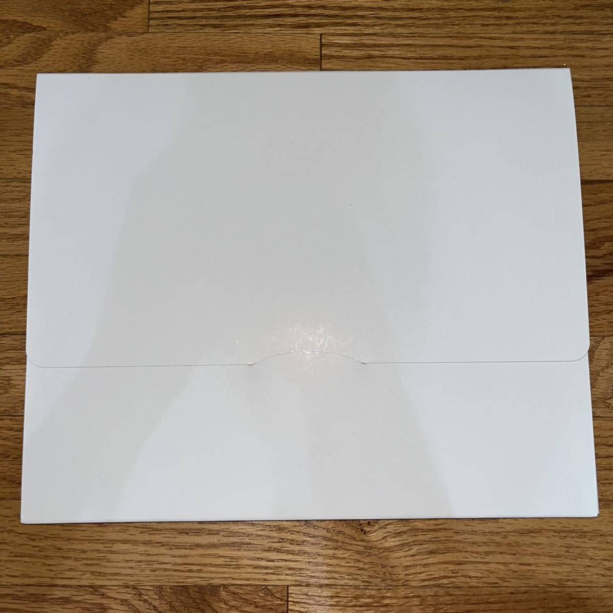 Amazon.co.jp: ゴブリンスレイヤー 箔押しサイン入りアクリル