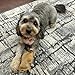 SPOT Dura-Fused Leather Rabbit Dog Toy – Durable Real Leather & Jute Chew Toy with Squeaker, Double-Stitched for Moderate Chewers, Small & Medium Dogs, 7.5in