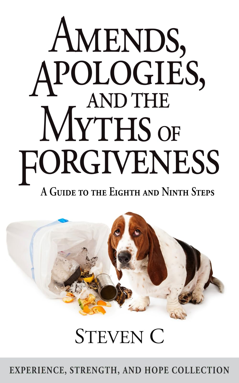 Amends, Apologies, and the Myths of Forgiveness: A Guide to the 8th and 9th Steps (Experience, Strength & Hope for Recovering Addicts)