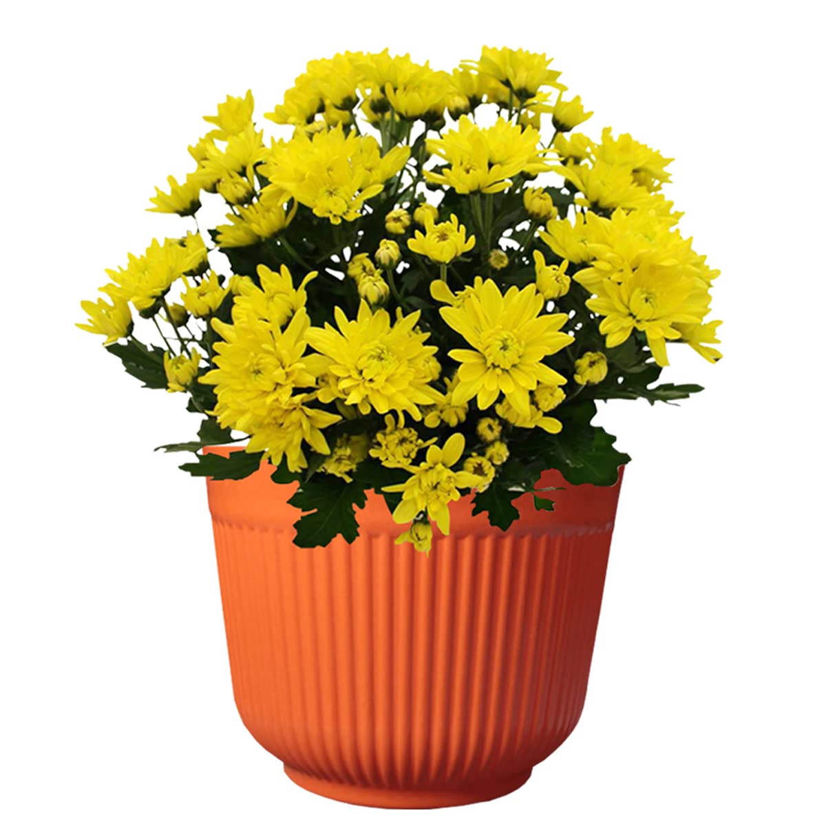 DEVICE OF URBAN INFOTECH 12 Inch Big Size Planters Colourful Plastic Flower Pot Durable Large Gamla Decorative Indoor Outdoor Gardening Pots for Home Terrace Lawn Balcony Nursery (Pack of 1, Orange)