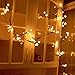 YINGXIANG 8.2Ft Globe String Light,UL Listed String Lights, Hanging Indoor/Outdoor Decorative String Light for Garden,Wedding,Xmas Party,Patio, Backyard,Cafe,Party,Bedroom,Tapestry(Warm White)
