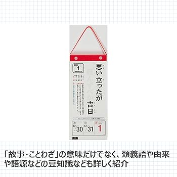 2025年度版【２冊セット】おまとめ割り Amazon | 高橋 2025年 カレンダー 壁掛け B3変型 E52 | アダルト