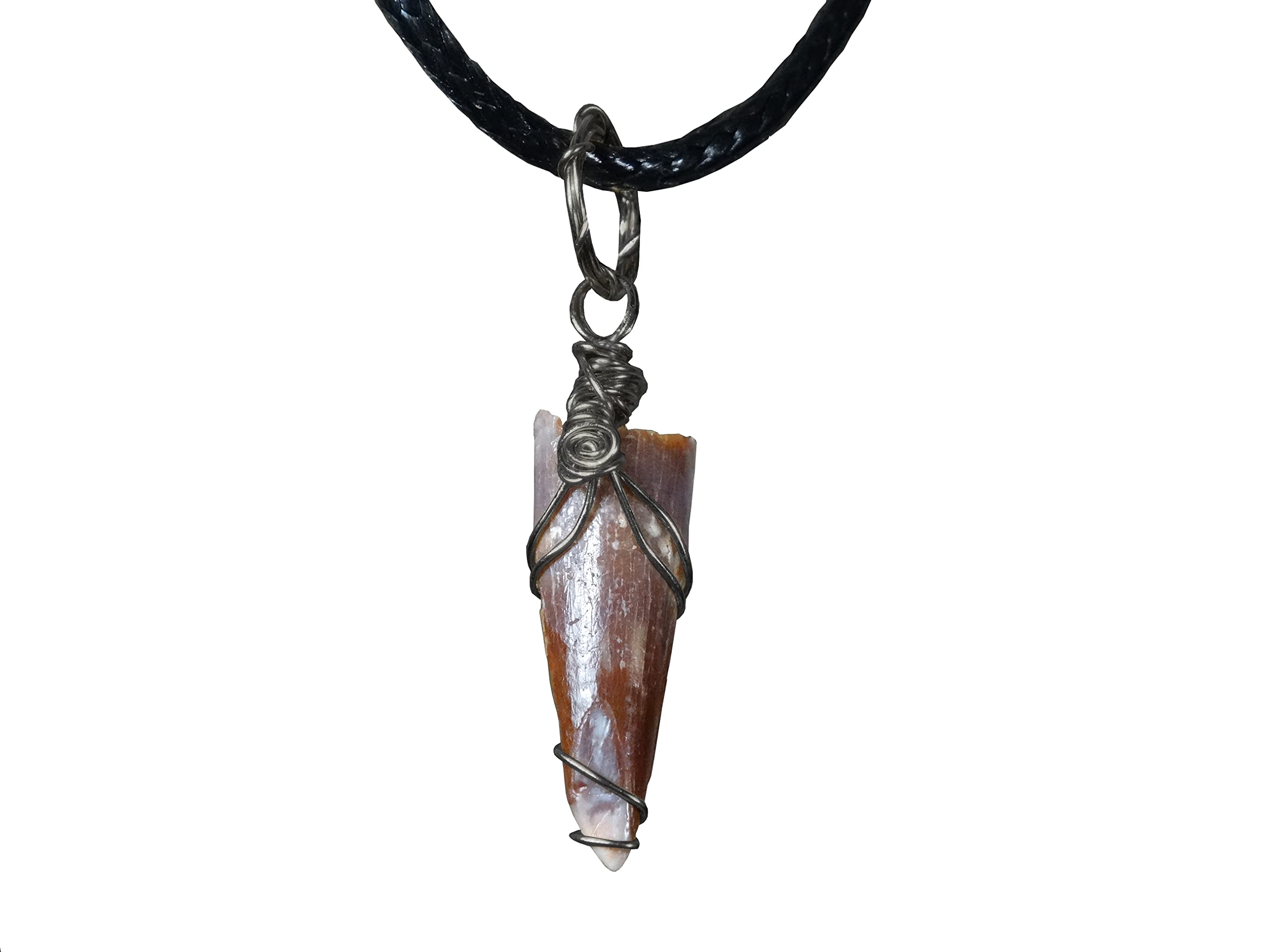 Pterosaur Tooth Pendant Black Iron Dinosaur Tooth, Real Fossil Dinosaur Pterodactyl Tooth Necklace