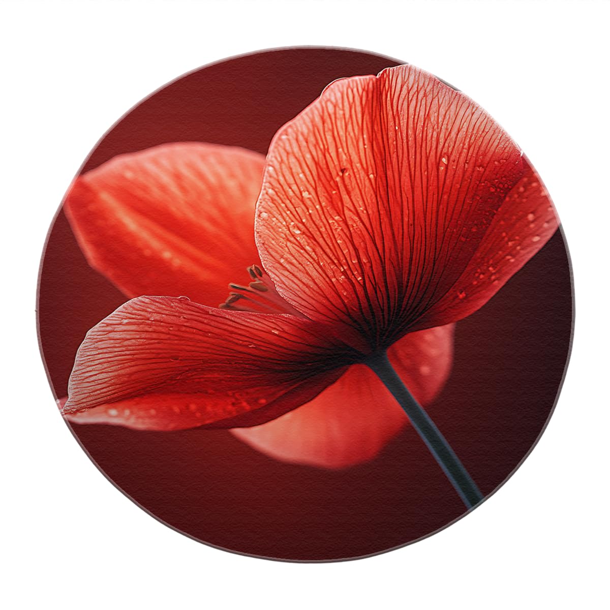 Moquette rouge lavable 150cm grand tapis rond fleur moderne couloir et salle à manger