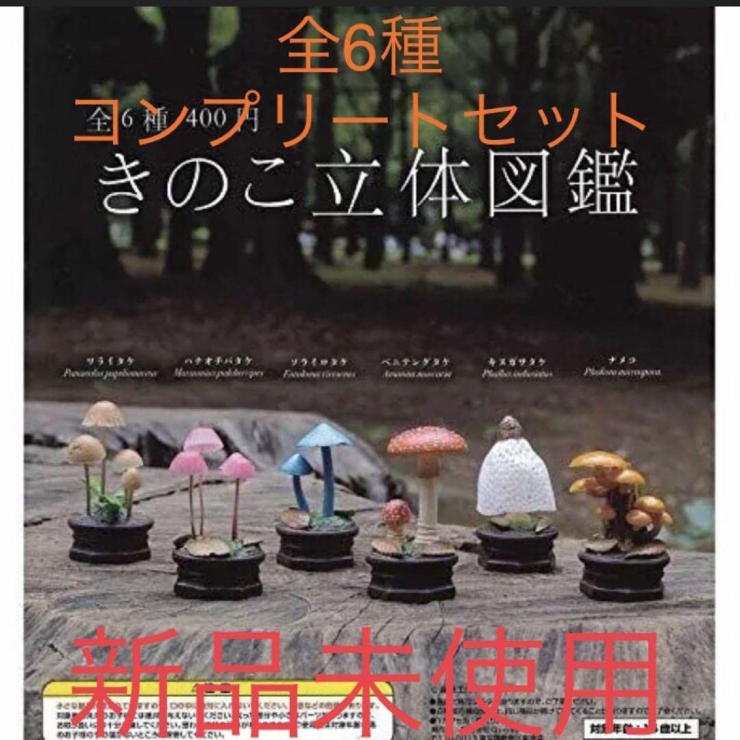 きのこ立体図鑑　全6種　コンプリートセット　ガチャ Amazon.co.jp: きのこ立体図鑑2 [全6種セット(フルコンプ