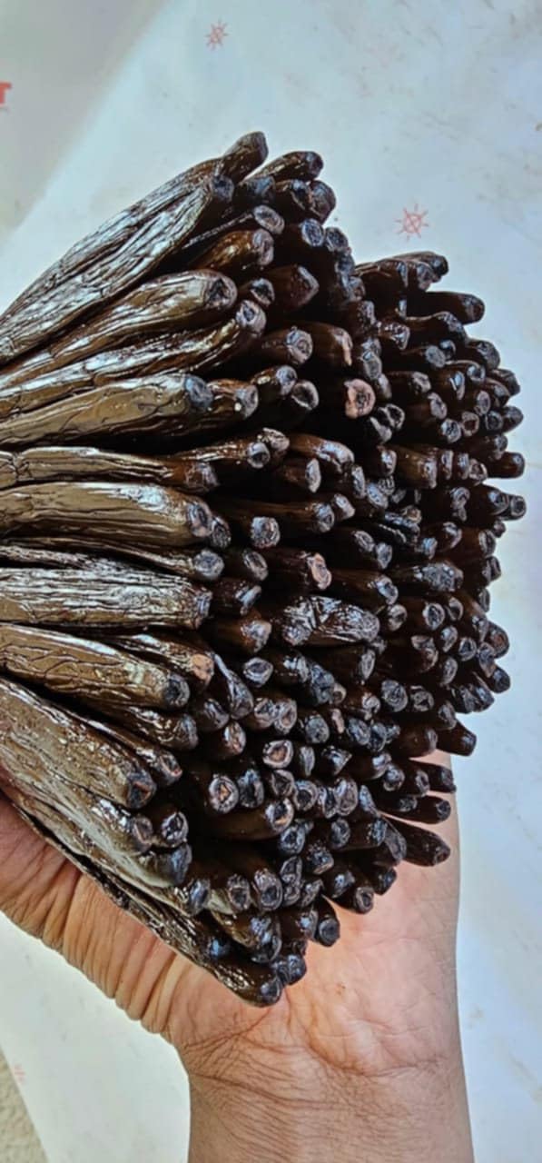 Vanille Bourbon de Madagascar, Gousses Noires Gourmet, 18 à 23 cm, Très Caramélisées, Souples et de Haute Qualité