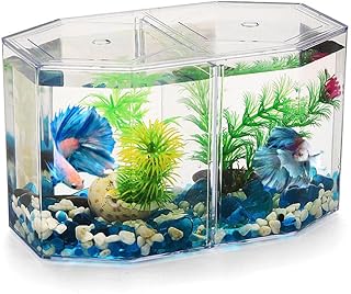 Generic Pequeno Tanque De Peixes Betta:Pequeno Tanque De Peixes Transparente Pequeno Aquário Com Partição Móvel Tanque De Criação De Peixes Para Betta Goldfish 7. 86X4. 72X4. 32 Polegadas