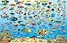 Fiji Map & Reef Creatures Guide Franko Maps Laminated Fish Card