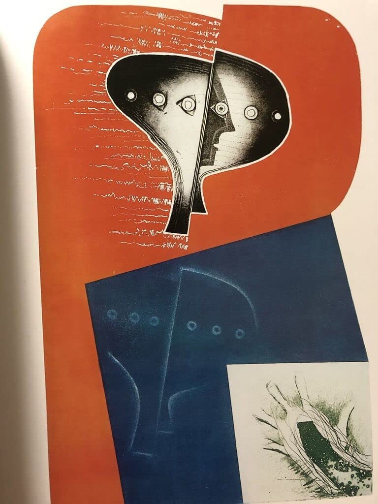 Amazon.co.jp: 画集深沢幸雄 銅版画全作品集 : おもちゃ