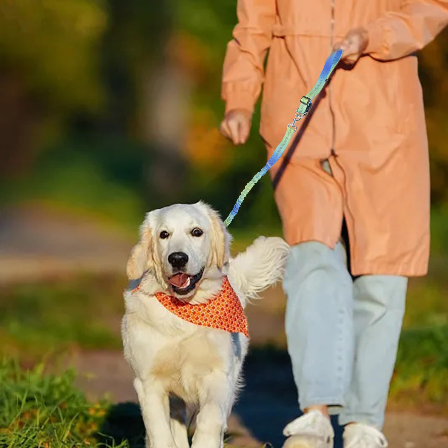 Correa para perro manos libres con elásticos, cinturón ajustable para correr con bolsa, costuras reflectantes, correa retráctil para entrenamiento de perros, senderismo, caminar, trotar
