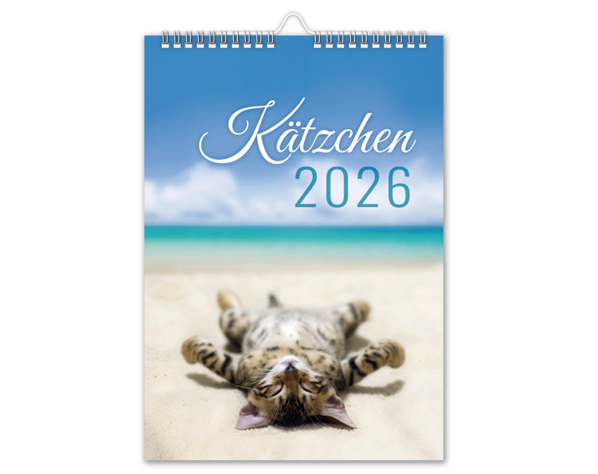 Kalender 2026 Katzen Kätzchen Wandkalender DIN A4 Katzenkalender mit Schulferien Katzen-Motiv Tiere V6