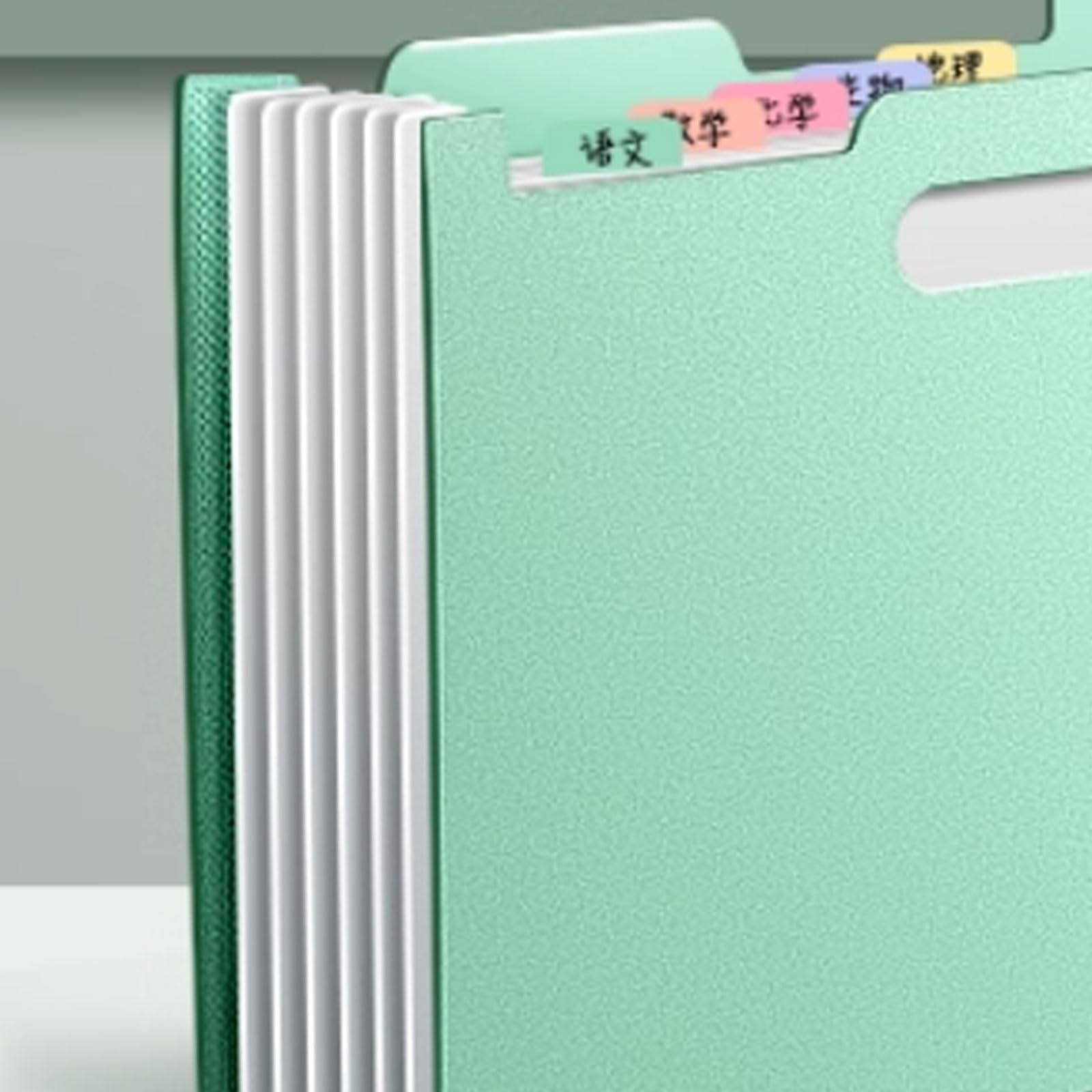 Carpeta, Portátil Extensible A4 en Capas de Gran Capacidad, fácil Transportar, Adecuado for escuelas y oficinas(Nero)