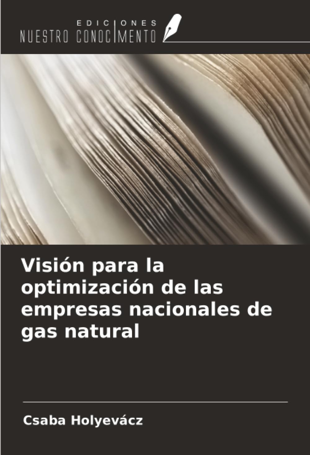 Visión para la optimización de las empresas nacionales de gas natural