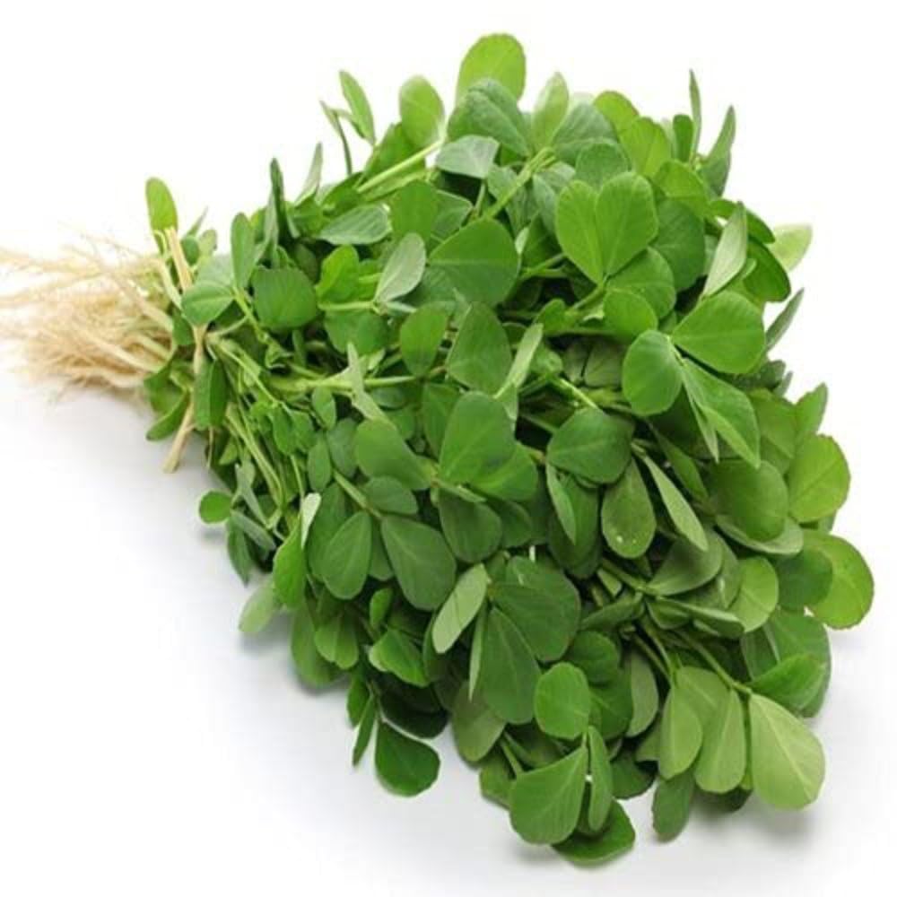 U Grow Premium Methi Vegetable Seeds - Indoor Outdoor Home Gardening Seeds (400 Seeds) (B0CKN1N54S) Amazon Price History, Amazon Price Tracker