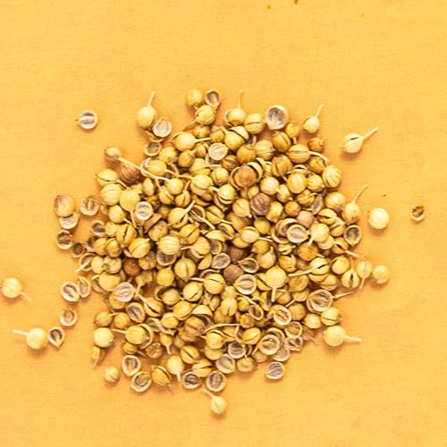 Vista 52 de RUMI SPICE Hinojo de semillas enteras forrajadas, 2.1 oz