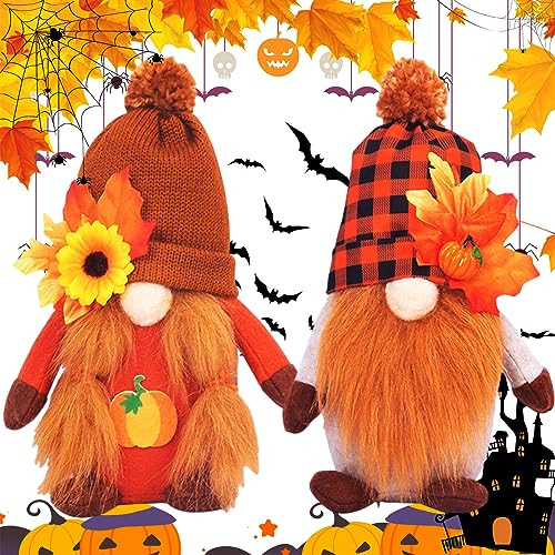 🎃【Regalo perfetto】Diffondi gioia e felicità con questa simpatica coppia di gnomi decorativi. Un fantastico regalo di compleanno o di Ringraziamento per bambini, persone care, famiglia, amici e colleghi. Anche un'ottima idea regalo per molte festività, come Natale, Capodanno, Halloween, San Valentino, Pasqua, Festa della mamma e altro ancora.