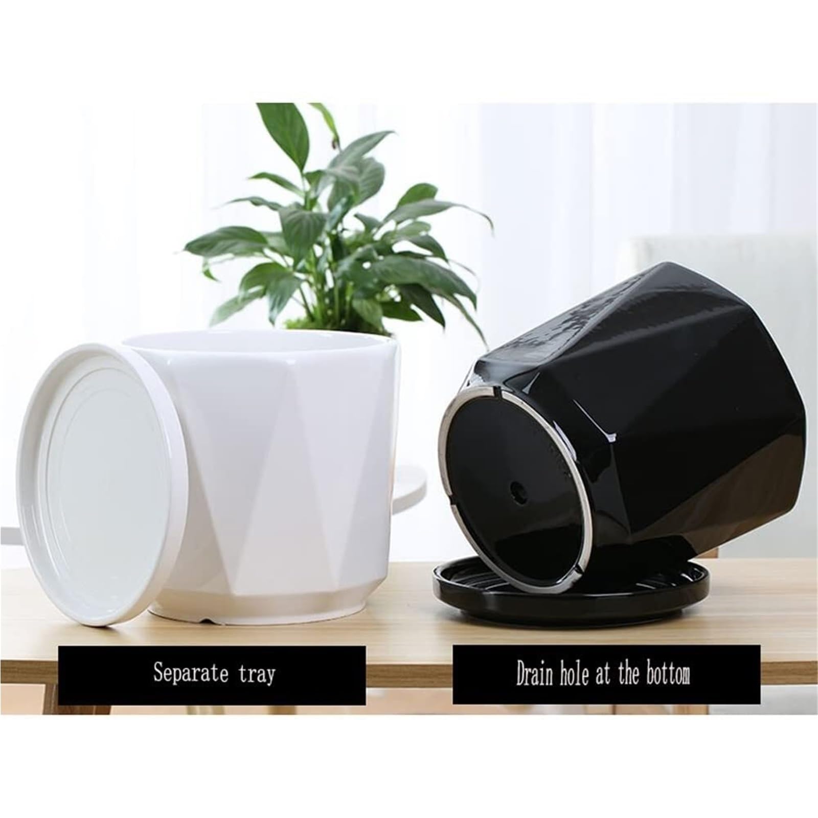 Vasi per piante da interno Vaso da fiori succulento in ceramica Forniture for la casa Decorazione del giardino fatato Vasi bonsai Decorazioni per veranda e spazi esterni(White,16cm*15cm)