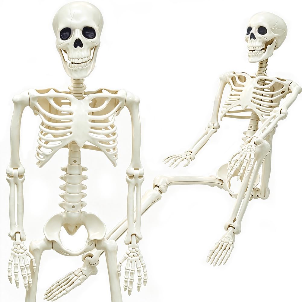 36" Skeleton Halloween Decorations, 3FT Realistic Full Body Movable Posable Joints Skeleton, Creepy Halloween Plastic Skeleton for Graveyard Decorations, Haunted House Props Indoor/Outdoor Decor