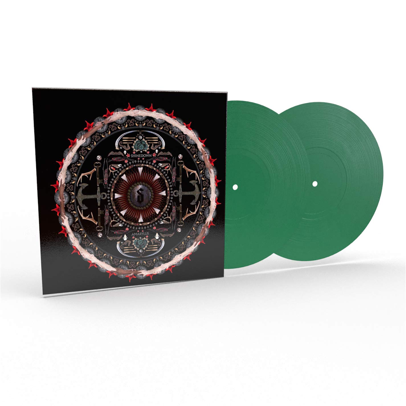 Amazon.com: Amaryllis
