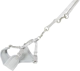 TRIXIE Junior Welpen-Softgeschirr mit Leine Größe S–M: Brustumfang 26–34 cm/10 mm in hellgrau - gepolstertes anpassbares Hundegeschirr mit 3fach verstellbarer Leine für kleine Hunde, 15560 product image