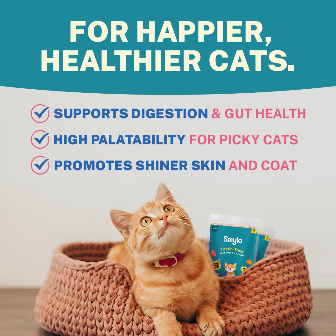 Smylo Natural Healthy Adult Cat Wet Food (1+ Yrs) 70g x 48 Packs | Tuna, Salmon, & Pumpkin | for Healthy Skin & Coat, Supports Digestion | Grain Free, No Preservatives or By-Products | Vet-Formulated 3