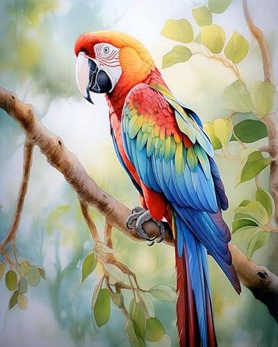 Pipisky Paint By Number For Adults On Canvas,Colorful Birds On The Tree,Beginner To Advanced Number Painting Kit-Kits Include Acrylic Paints,Brushes(Without Frame,16X20 Inch)