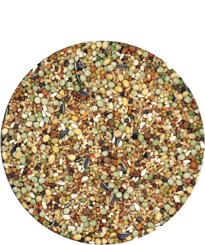 country's Best DINDO 2.1 Pellet für Kleintiere