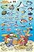 Barbados Reef Creatures Guide Franko Maps Laminated Fish Card 4" x 6"