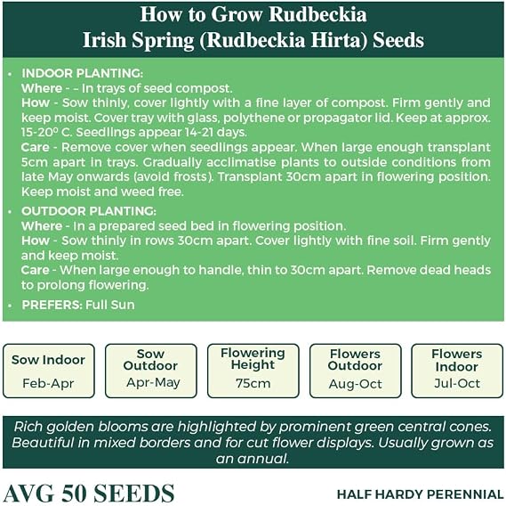Rudbeckia Irish Spring Seeds – Long Flowering Large Blooms, Perfect in Borders – RHS Plants for Pollinators – Half Hardy Perennial – for Your Beautiful Garden