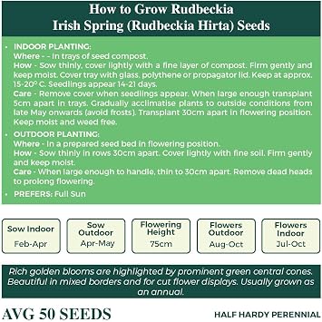 Rudbeckia Irish Spring Seeds – Long Flowering Large Blooms, Perfect in Borders – RHS Plants for Pollinators – Half Hardy Perennial – for Your Beautiful Garden