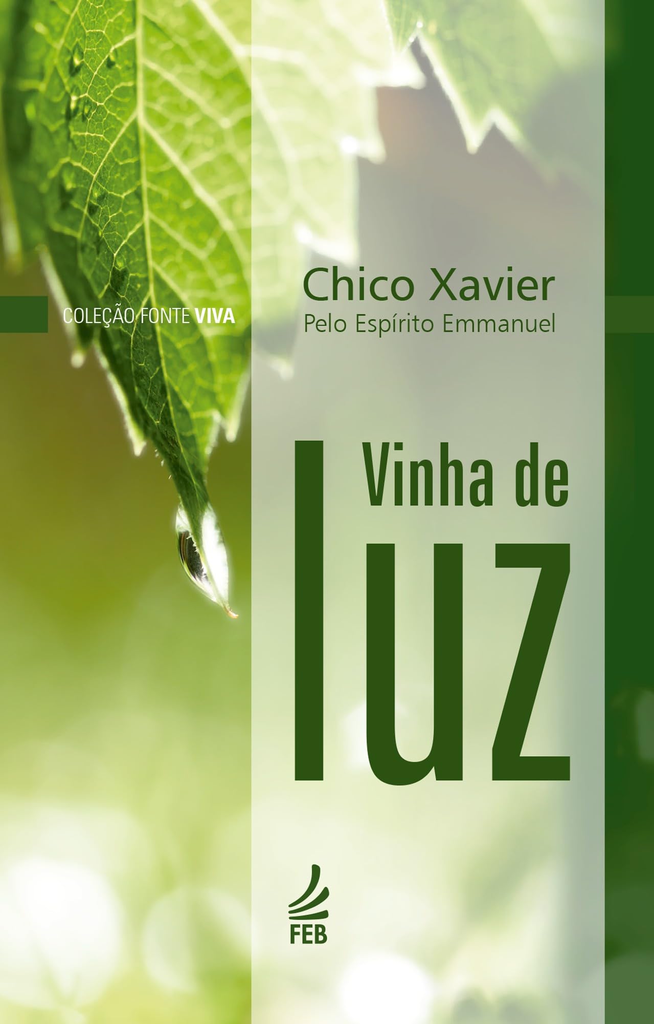 Vinha de luz (Coleção Fonte viva Livro 3) (Portuguese Edition)