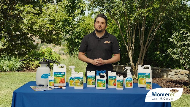 Amazon.com: Monterey Once A Year Insect Control II, 1 Gallon w