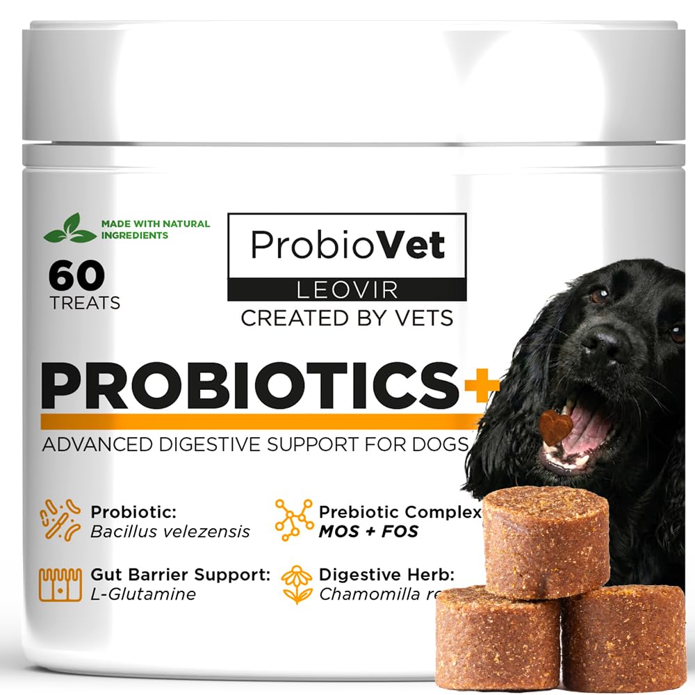 ProbioVet+ ANTI-PRURITO e Sollievo Leccamento Zampe - Stop al Grattamento - Probiotici Cani con Bacillus Velezensis e L-Glutammina - Salute Intestinale e Immunitaria - 60 Snack