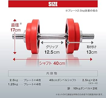 iROTEC 10kg ダンベルプレート 2枚セット (ラバー付き) Amazon | IROTEC(アイロテック) ラバー ダンベル20KGセット