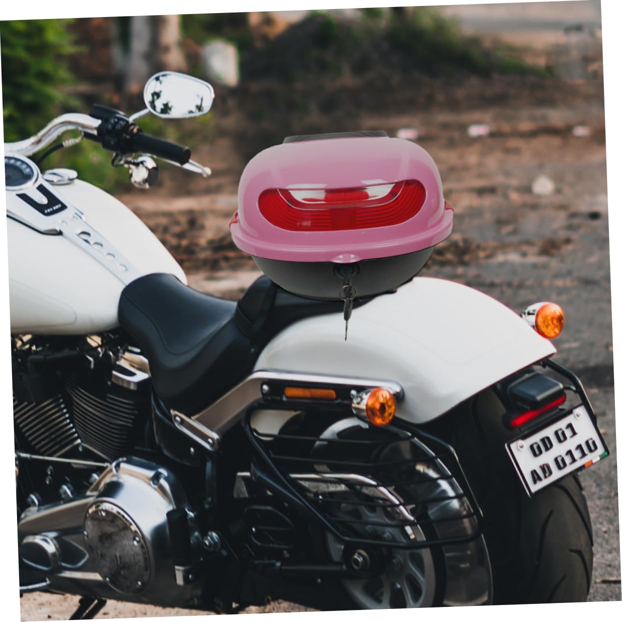Ciieeo Bauletto Moto in Pp Rosa con Schienale, Design Rinforzato e Interno Capiente, per Viaggio e Conservazione Sicura degli Oggetti