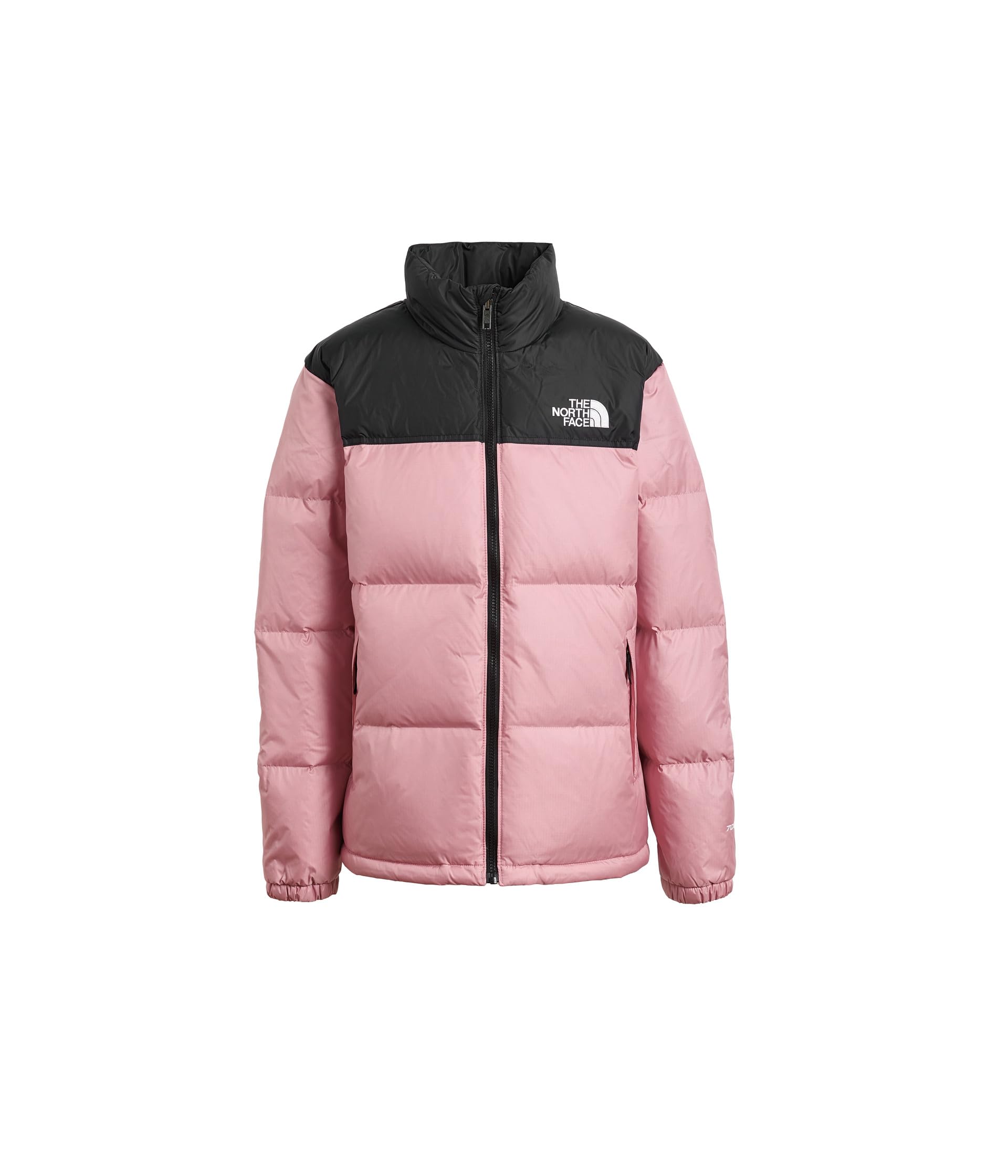 Kids 1996 Retro Nuptse Jacket (Little Kid/Big Kid)