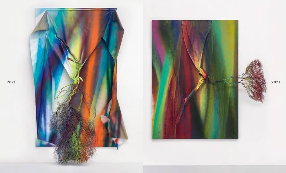 Amazon.com: Katharina Grosse: Studio Paintings 1988–2022