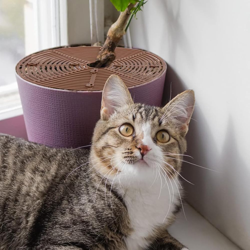Lot de 4 grilles de protection pour pots de fleurs, 30 cm + 52 cm, protection contre les chats, protège la terre des animaux et des enfants, grille pour pots de fleurs