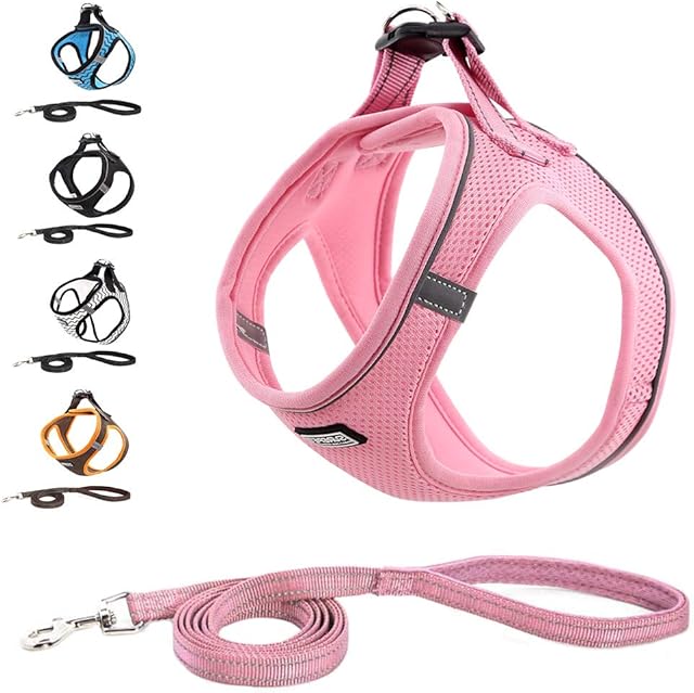 Suredoo Pet Reflective Soft Mesh Dog Harness and Leash Set, No Pull Breathable Padded Step in Vest Harness Leash Set, Comfort Training Walking for Small Dogs Cats Puppies (XS, Pink)