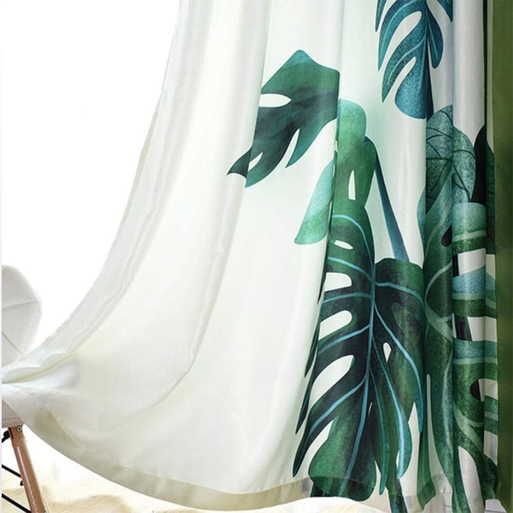 philodendron moonlight Philodendron 'Moonlight' 14