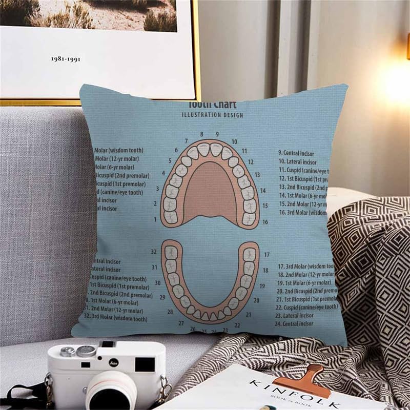 Image of Throw Pillow Covers Pink Education Tooth Chart Number Infographic on Blue Dental Human Anatomy Pillow Case 18x18 Inch Cushion Cover for Home Party