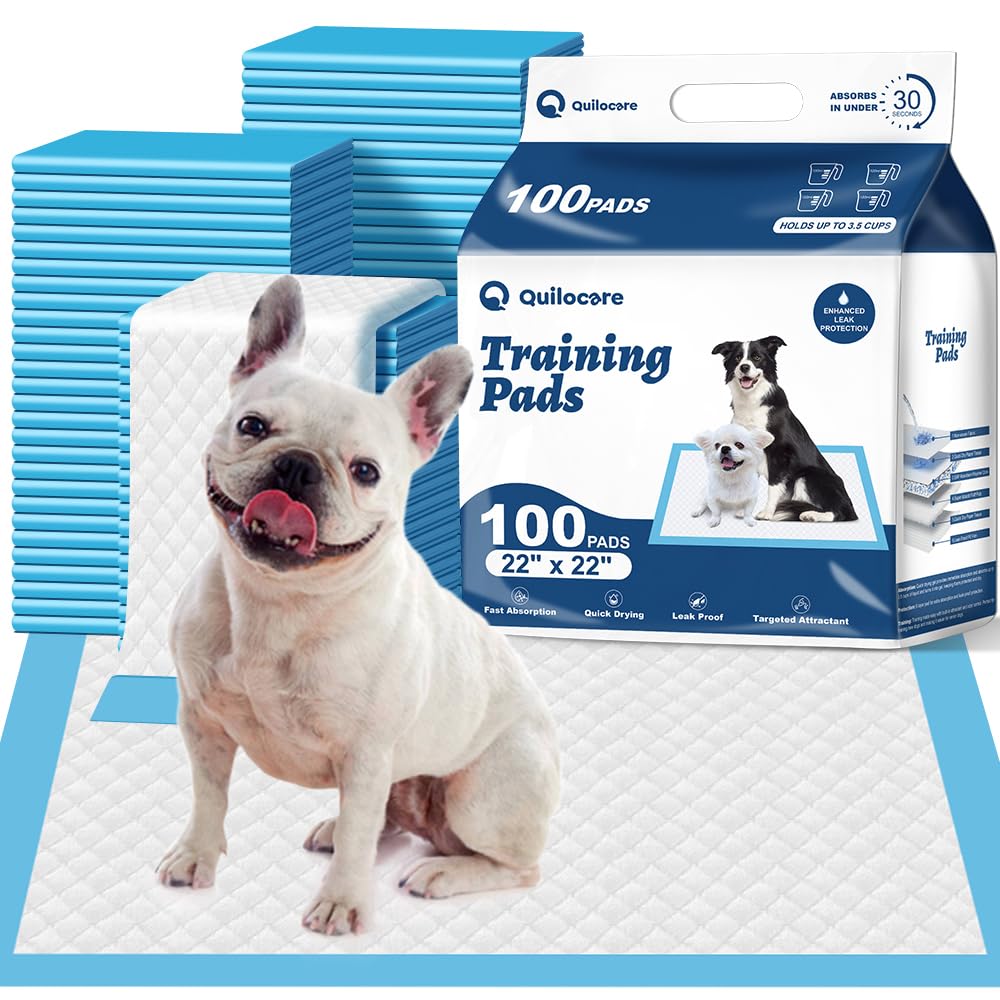 100 Count 22” x 22” Disposable Dog Pee Pads, Super Absorbent Leakproof Puppy Pads Quick Drying, Pee Pads for Dogs, Potty Dog Training Pads