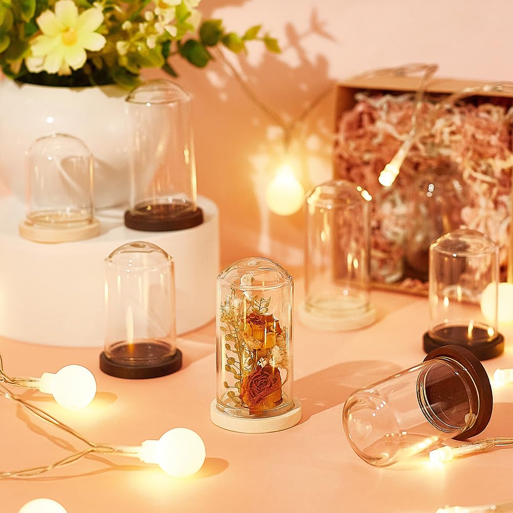 Amazon.com: BENECREAT 15 Sets Mini Clear Glass Cloche Dome 1.5/2