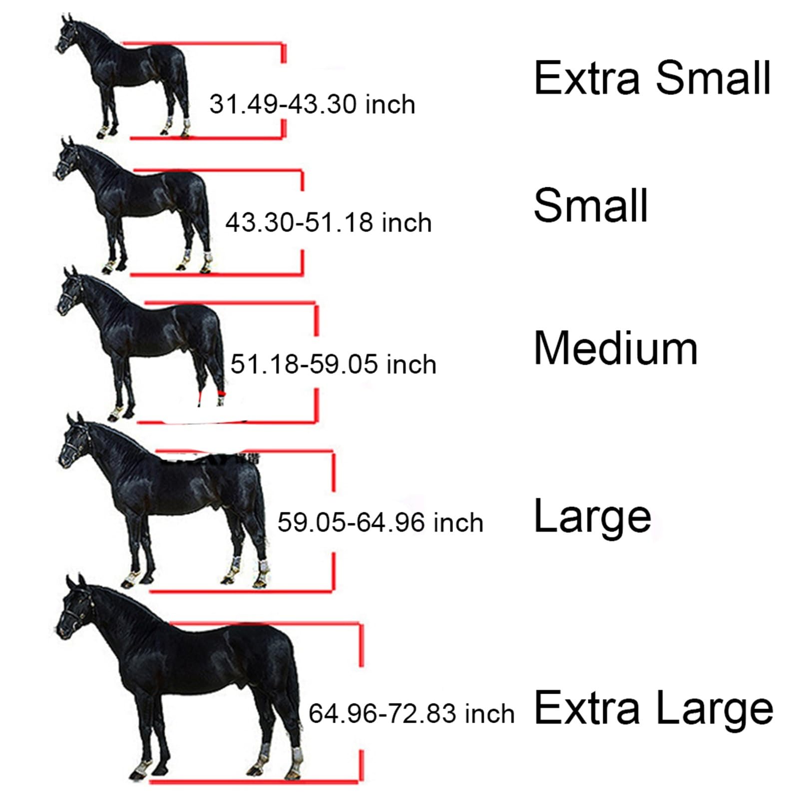 Halfter Für Pferde Gepolsterter Halfter, Pony-Kopfkragen, Schutzausrüstung, professionell, Schwarz