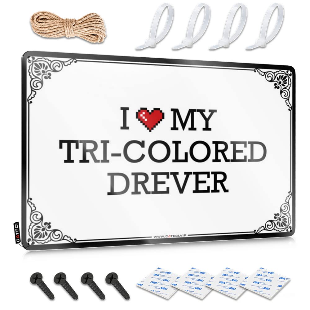 Fzfn Colour Nice Retro Wall Decor, Indie Room Decor Designer I Love My Tri-Colored Drever | Farmhouse Retirement Decor(30X40cm)