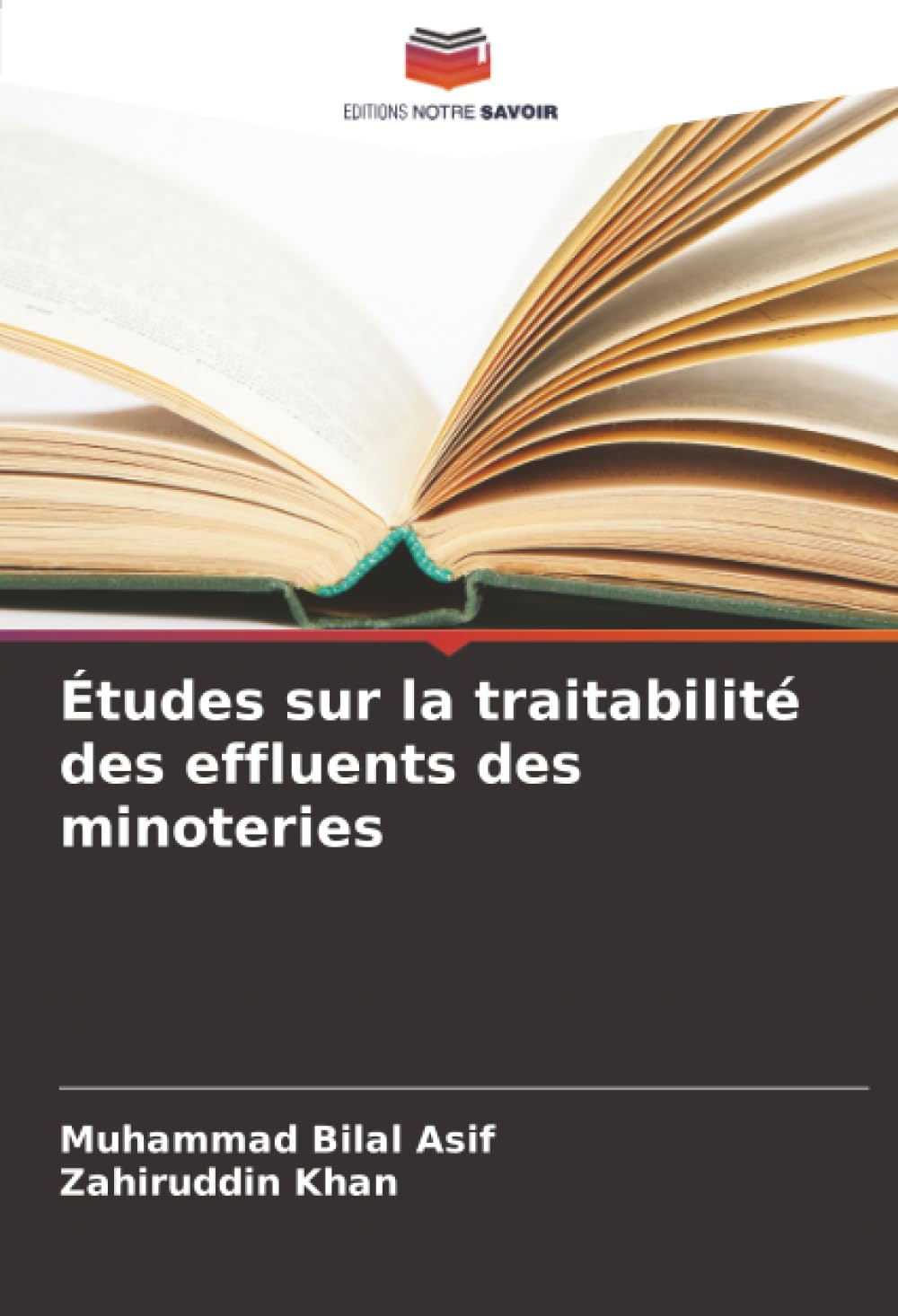 Études sur la traitabilité des effluents des minoteries