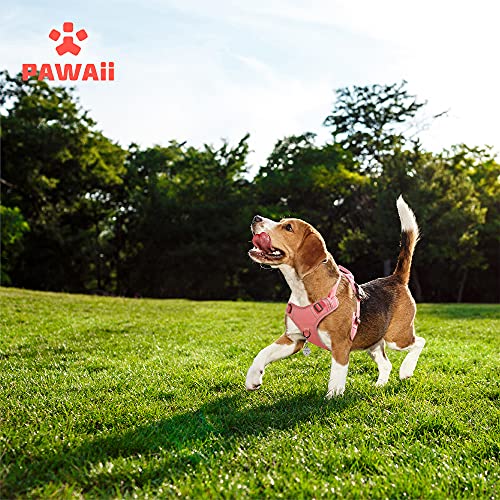 Pawaii Pettorina Cane, Pettorina h Cane Regolabile...